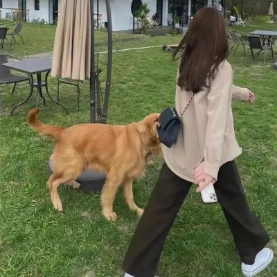 全职法师第二季